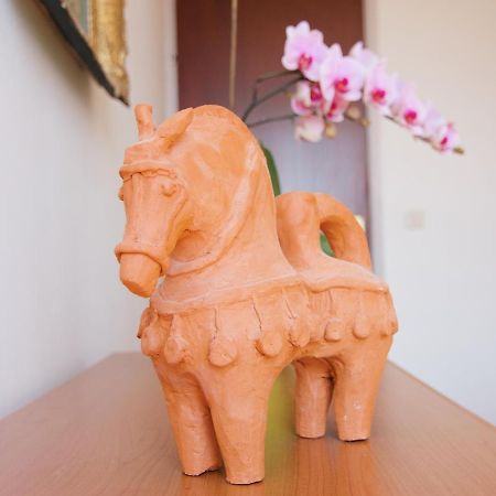 Apartment Todorovic - Macan Pula Dış mekan fotoğraf