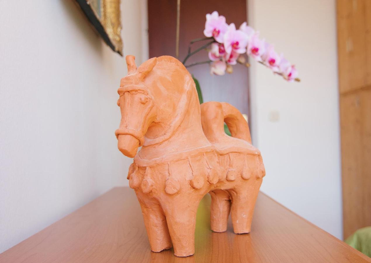 Apartment Todorovic - Macan Pula Dış mekan fotoğraf