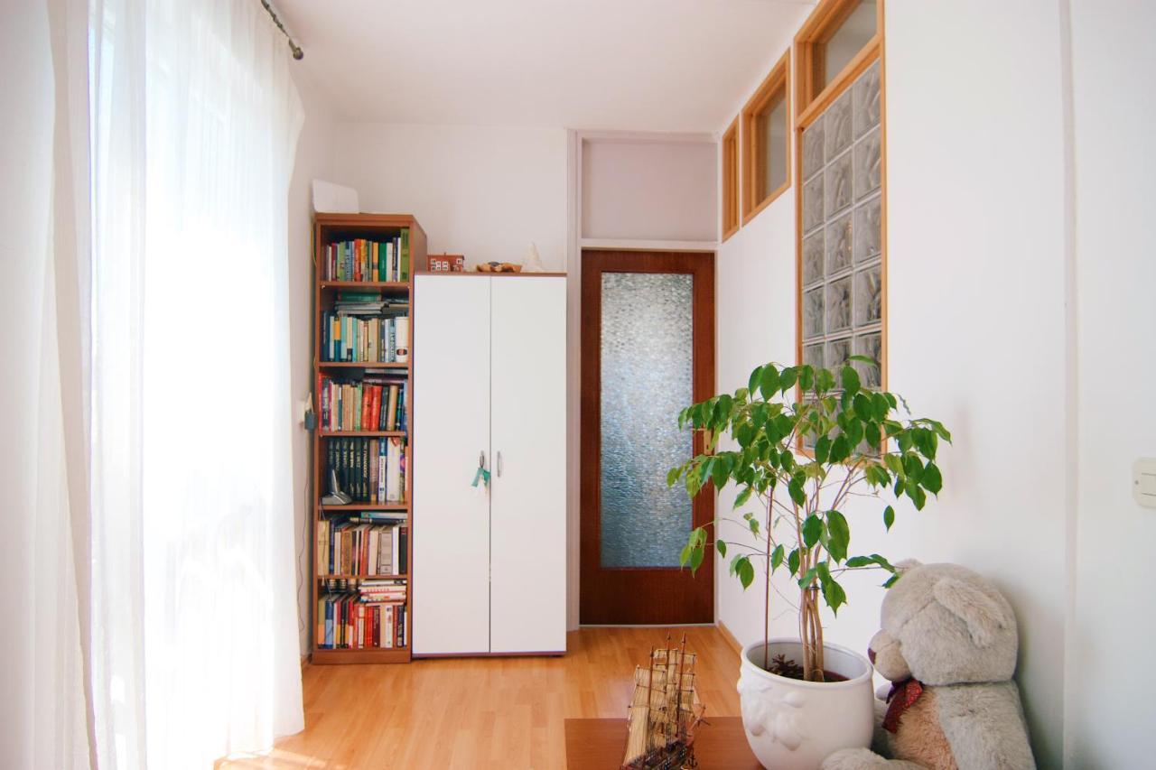 Apartment Todorovic - Macan Pula Dış mekan fotoğraf